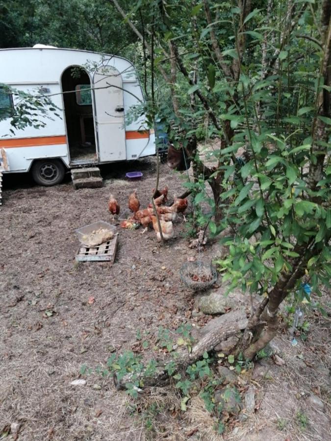 Les Roches Chambre D'Hotes Servant Esterno foto
